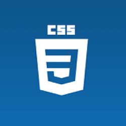 Logo CSS 3